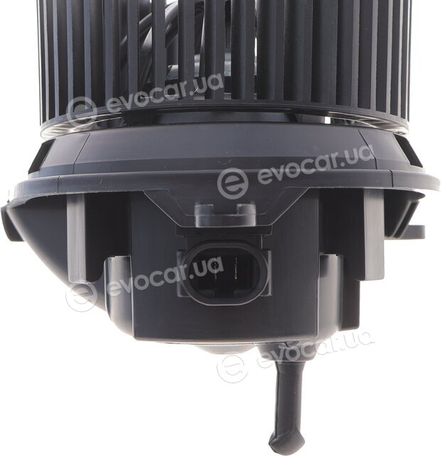 AIC 53036