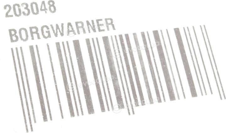 BorgWarner 203048