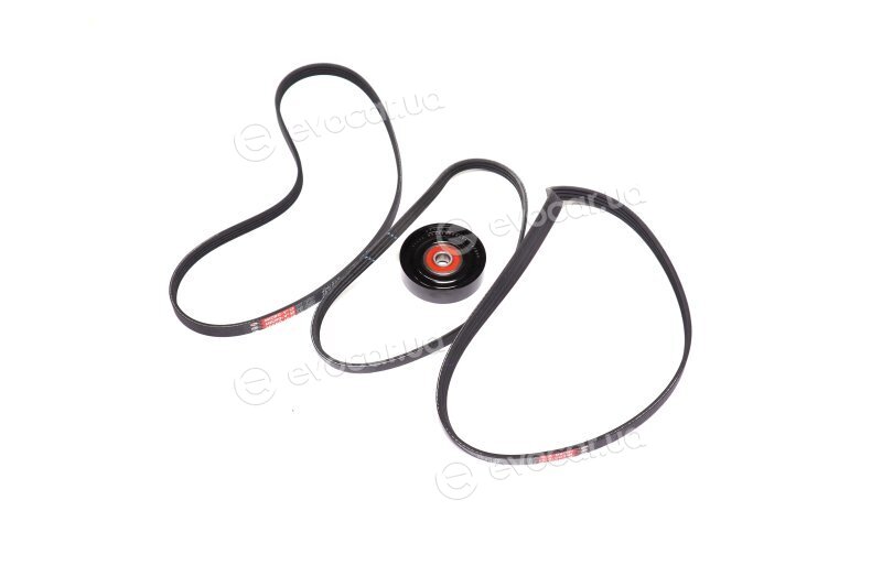 Gates K074PK878