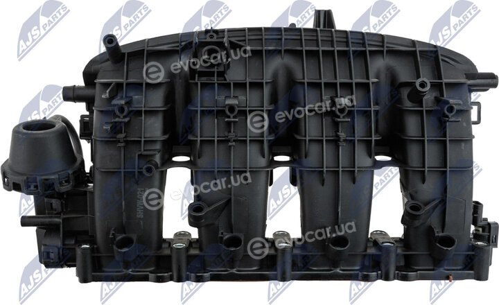 NTY BKS-VW-021