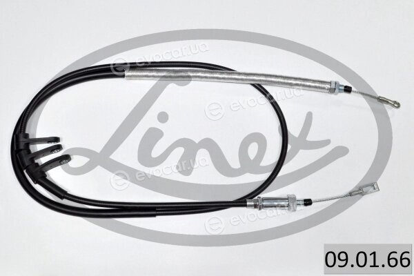 Linex 09.01.66