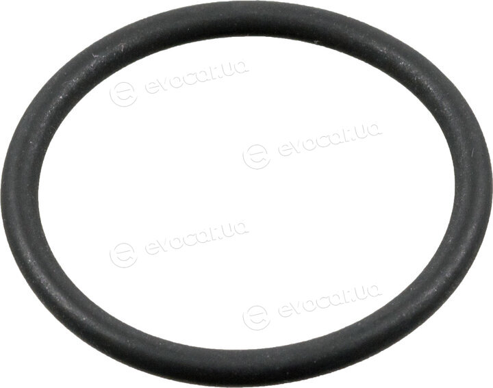 Febi 180599