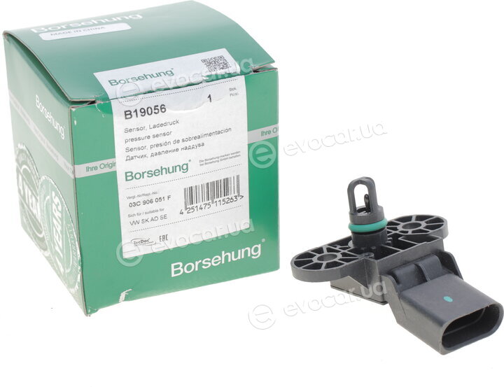 Borsehung B19056