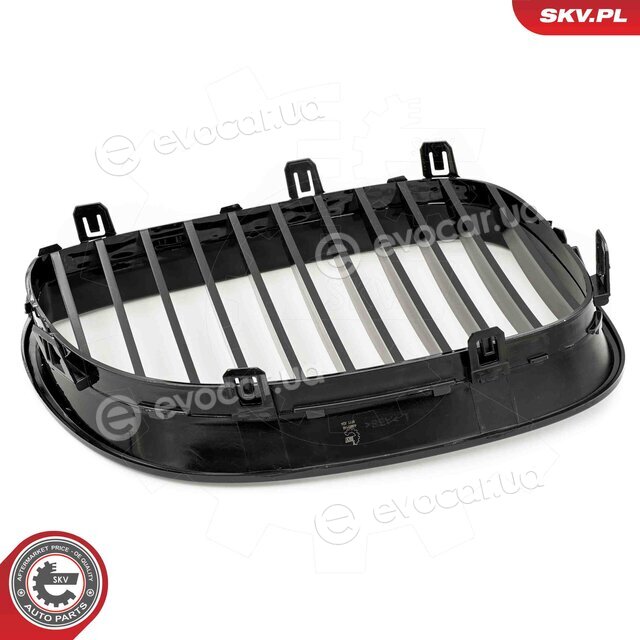 SKV 66SKV165