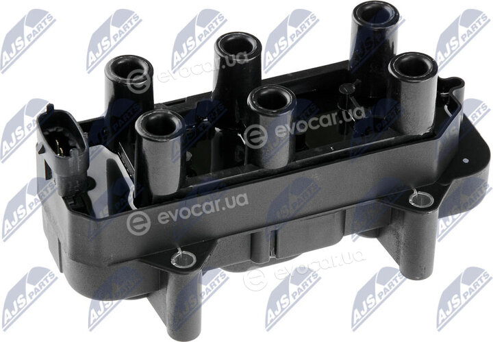 NTY ECZ-PL-011