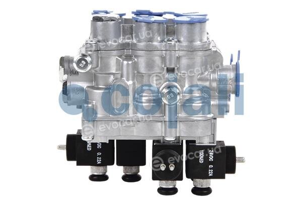 Cojali 2209440