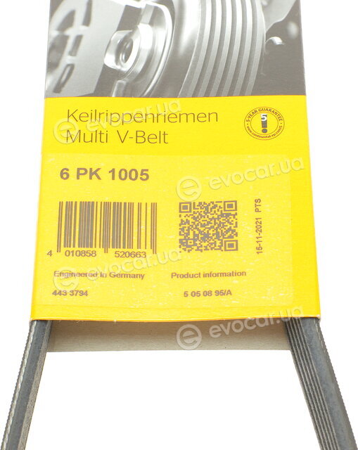 Continental 6PK1005