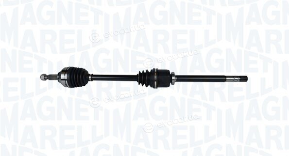 Magneti Marelli 302004190066