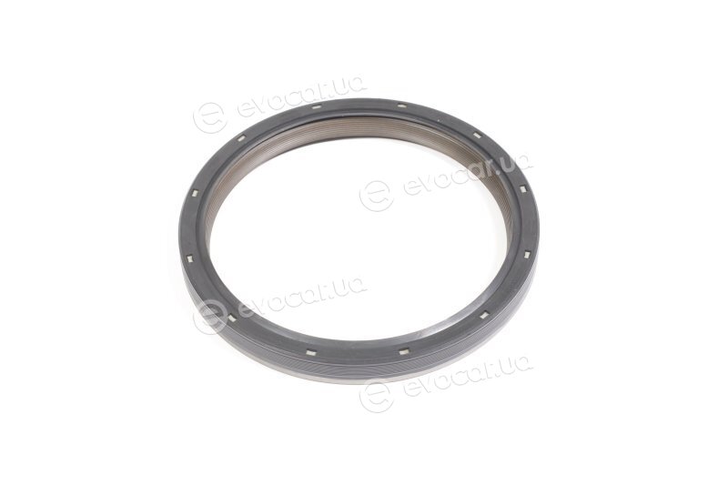 Elring 503.209