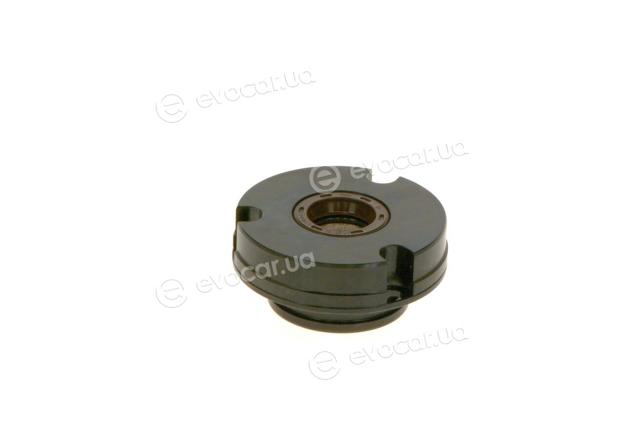Bosch F 01M 101 217