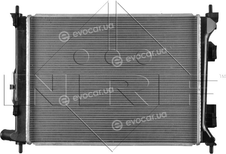 NRF 58556