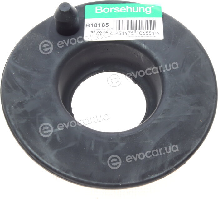 Borsehung B18185