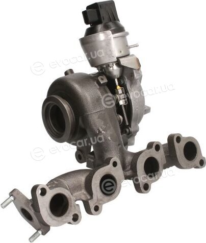 BorgWarner 53039880207/R