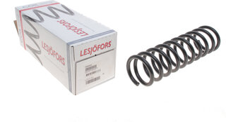 Lesjofors 4208407