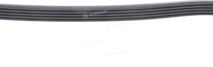 Dayco 5PK872