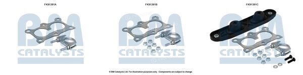 BM Catalysts FK91391