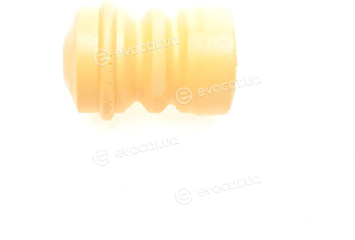 Magneti Marelli 310116110123