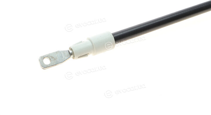 Solgy 219020