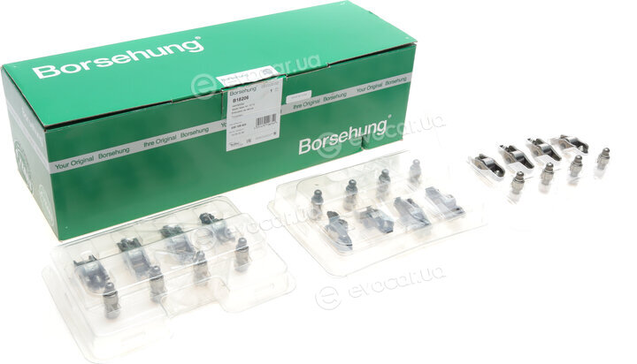 Borsehung B18206
