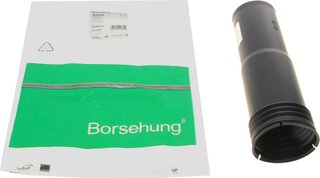 Borsehung B19168