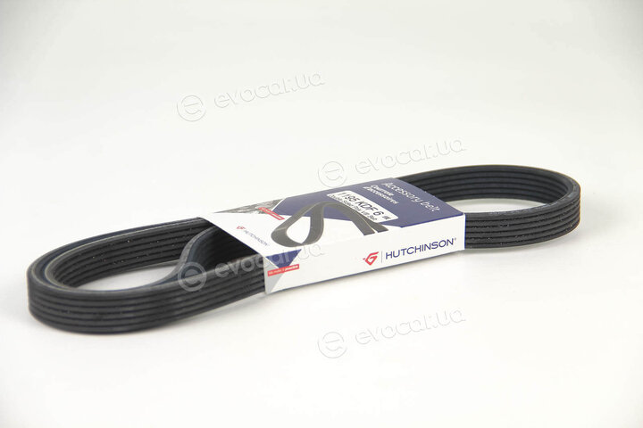 Hutchinson 1195 KDF 6