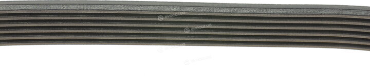 Dayco 6PK1437
