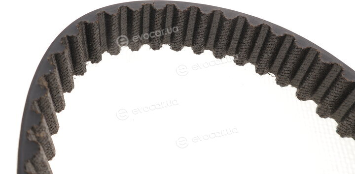 Gates K025499XS