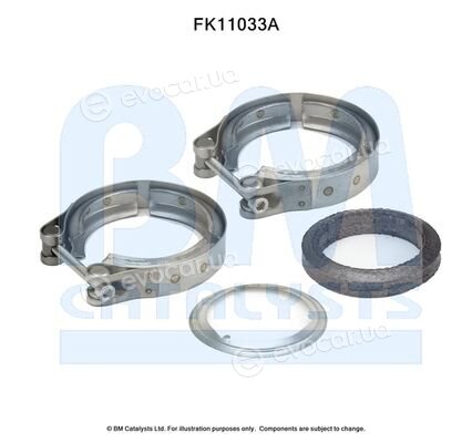 BM Catalysts FK11033