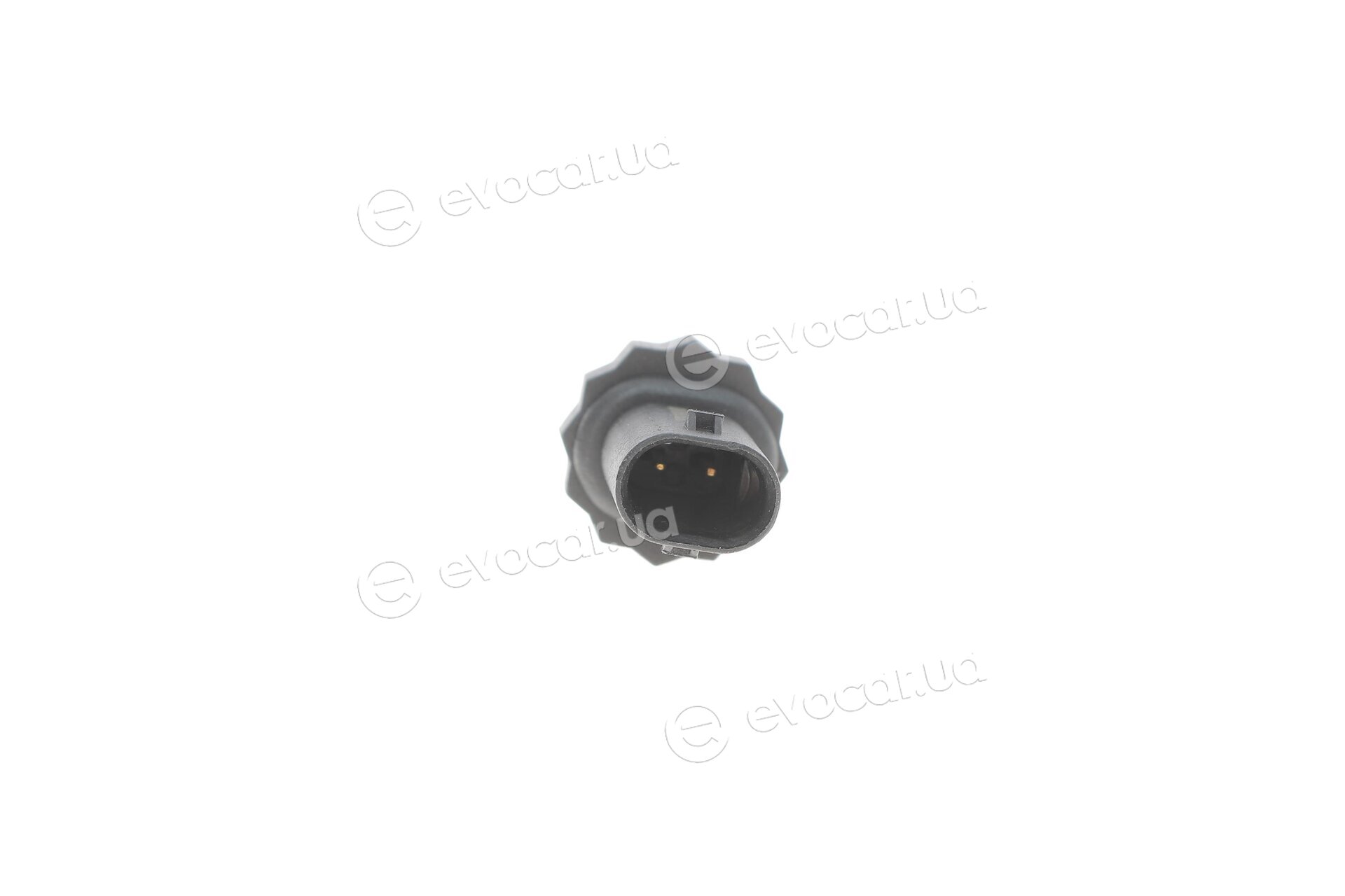 AIC 55794
