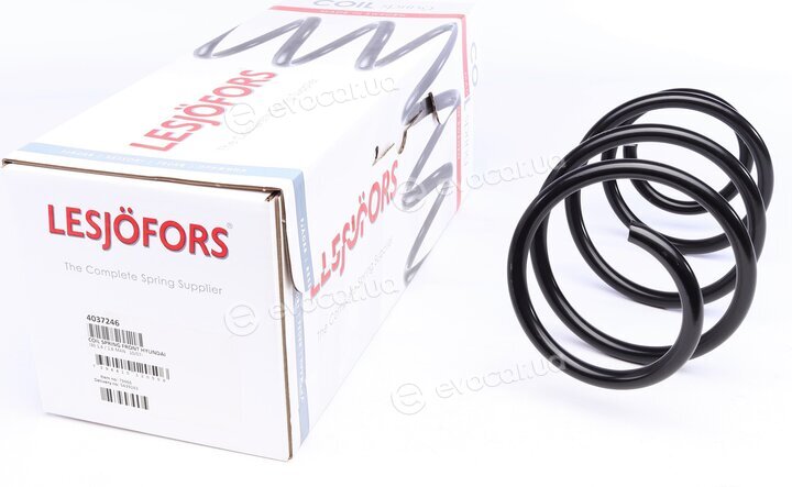 Lesjofors 4037246