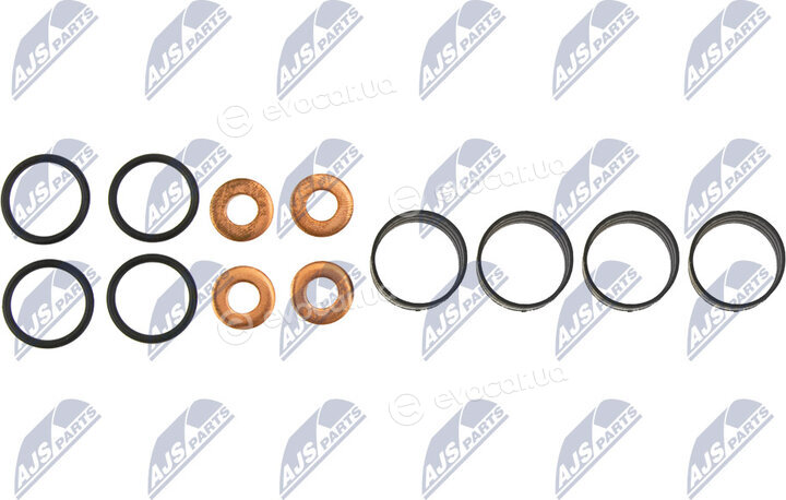 NTY BWP-PL-005