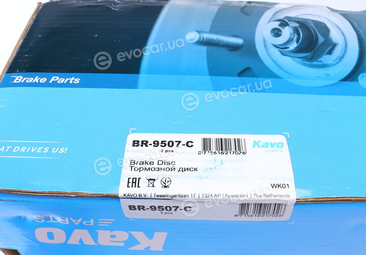 Kavo BR-9507-C