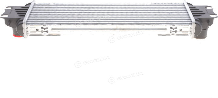 Van Wezel 43004328
