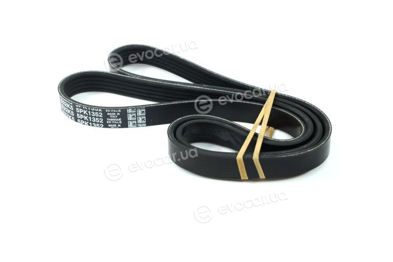 Dayco 5PK1352