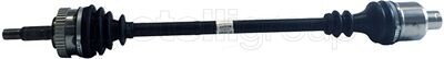 Cifam 655-919
