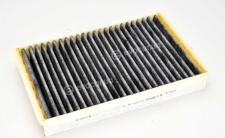 Mahle LAK 79