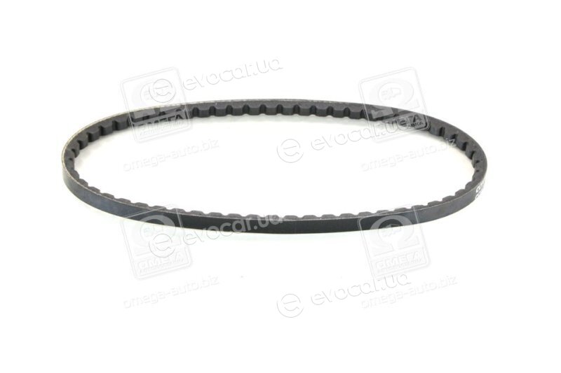 Continental AVX10X613