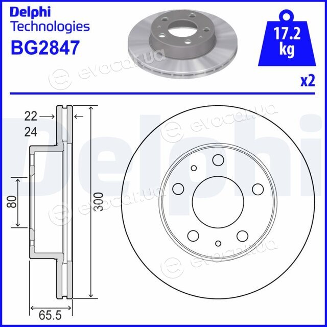 Delphi BG2847