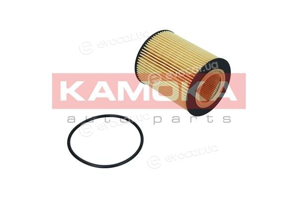 Kamoka F120001