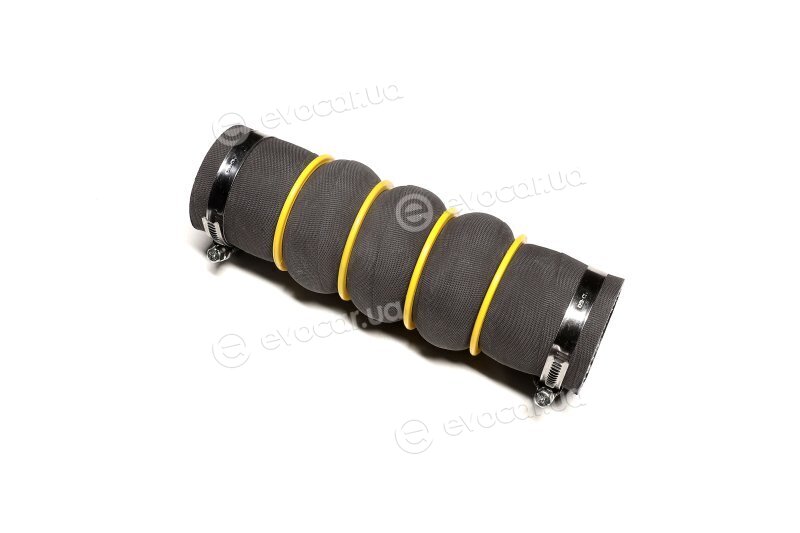 Sasic 3330056