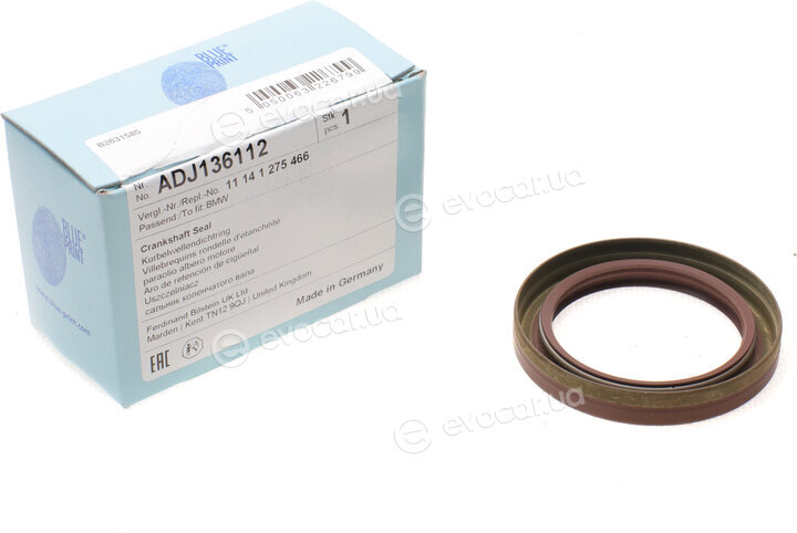 Blue Print ADJ136112