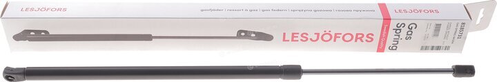 Lesjofors 8185731
