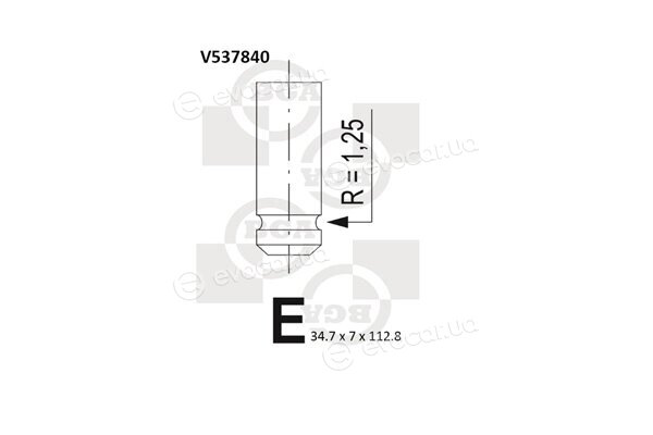 BGA V537840