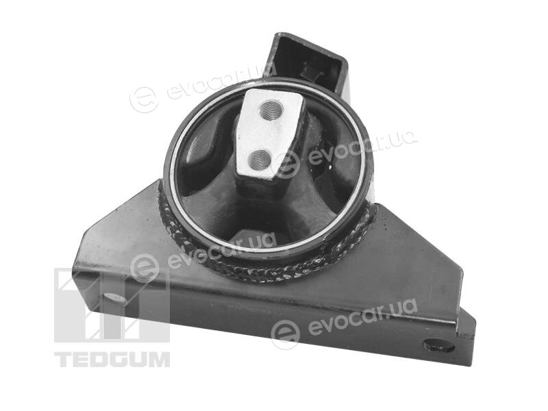 Tedgum TED39714