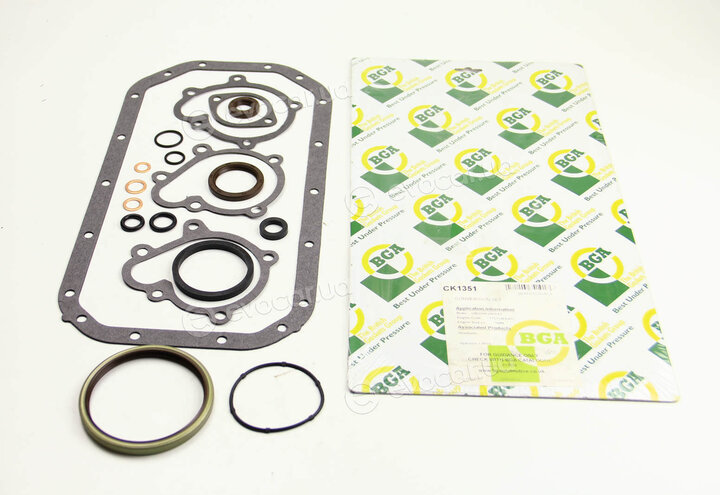 BGA CK1351