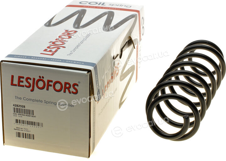 Lesjofors 4282928