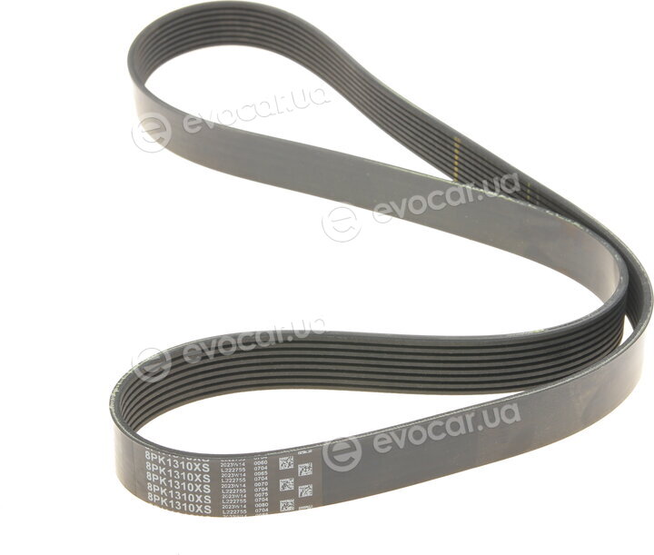 Gates 8PK1310XS