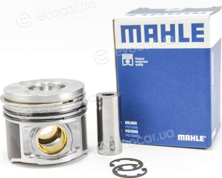 Mahle 010 15 02