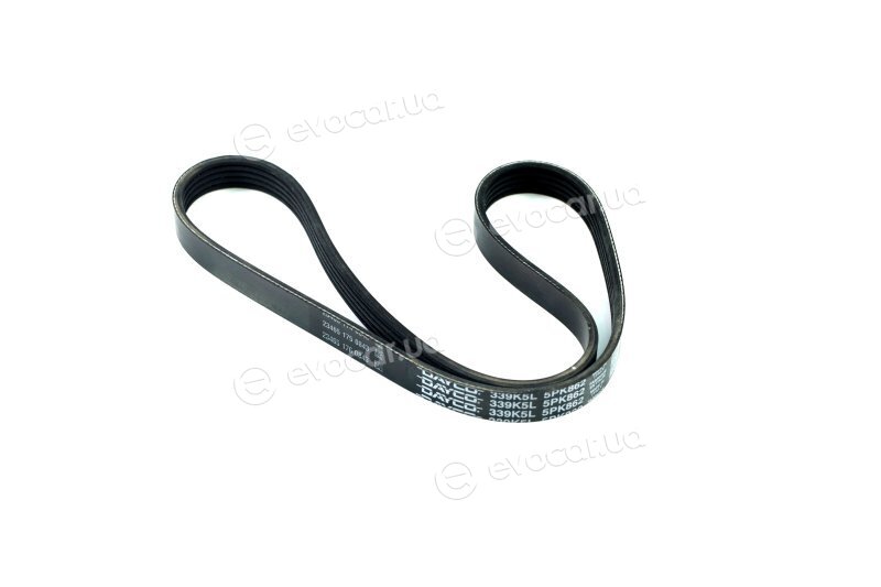 Dayco 5PK862