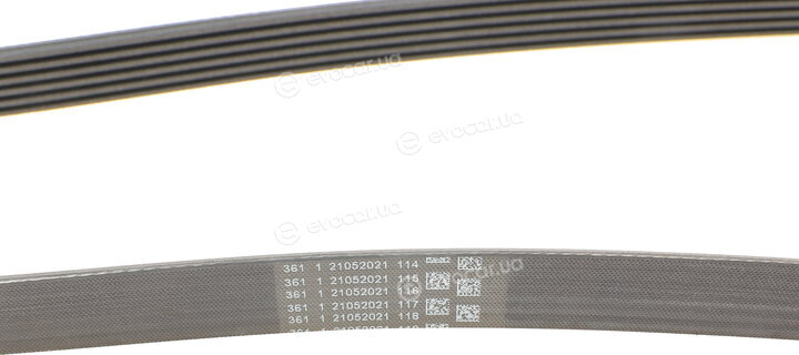 Continental 6PK2581